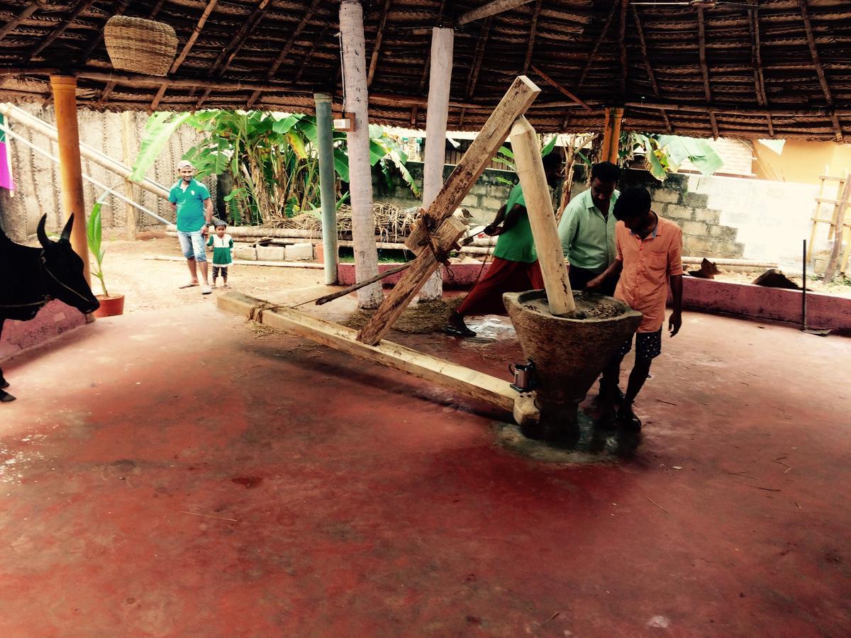 Seawin Beach Resort Varkala Zewnętrze zdjęcie